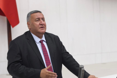 Gürer: “Sokak Hayvanlarının Öldürülmesine Karşıyız”