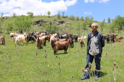 Ordu'da Tarım ve Hayvancılıkta Devrim