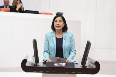 Alpu Ovası'nda Termik Santral Yeniden Gündemde