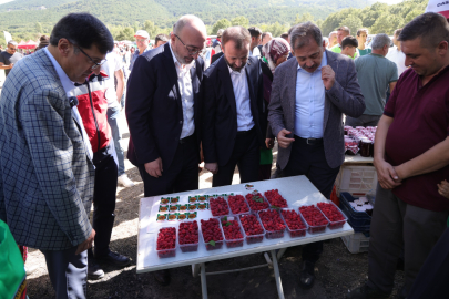 Ahududu Şenliğine Büyük İlgi