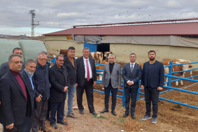Gürer: “Çiftçinin, Besicinin Psikolojisi Bozuk”