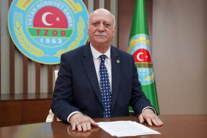 Kahverengi Kokarca Ekonomik Tehdit Haline Geldi