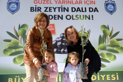 Zeytinciliği Yeniden Canlandırdık
