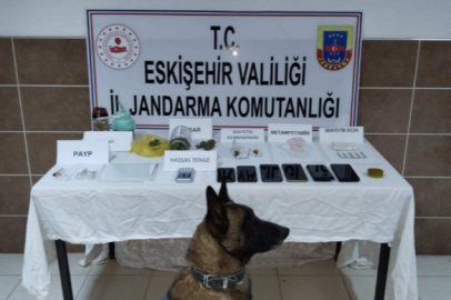 Çifteler ve Beylikova'da Uyuşturucu Operasyonu