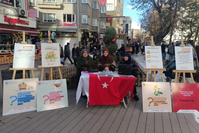 Gelin Bu Yılı Sağlıklı Tarım Yılı İlan Edelim