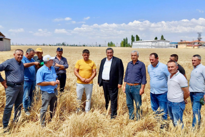 Gürer: “Tahıl Ürünlerinde Üretim Düşüyor”
