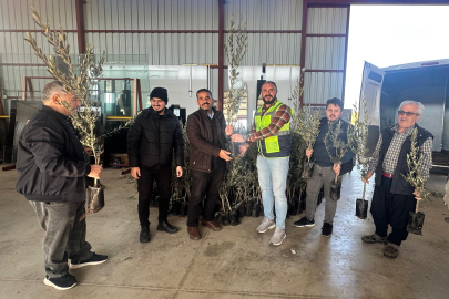 Alanya'da Zeytin ve Toros Fıstığı Fidanları Dağıtıldı