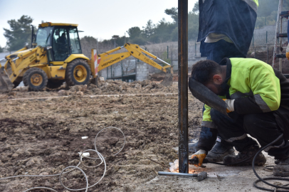 Sokak Hayvanları Doğal Yaşam Alanı’nda Çalışmalar Sürüyor