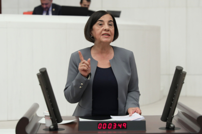 CHP’li Süllü: "Barınma Yok, Reklam Var!"