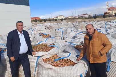 Vatandaş 20 Liraya Soğan Alırken Tonlarca Soğan Hayvan Yemi Oldu