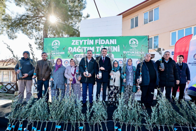 Denizli Büyükşehir'den Zeytin Seferberliği