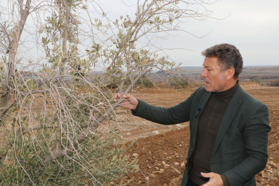 Plansız Tarım Politikası Milli Serveti Kuruttu!