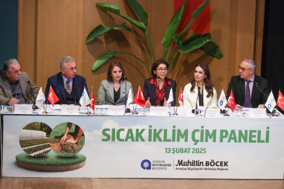 Kuraklık ve Su Krizine Karşı Çevre Dostu Çimler