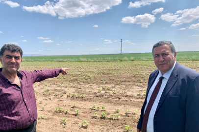 CHP'li Gürer: “Suda Geleceği Tüketiyoruz”