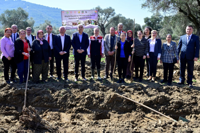Kadın Çiftçilere Destek: Dut Fidanları Toprakla Buluştu!