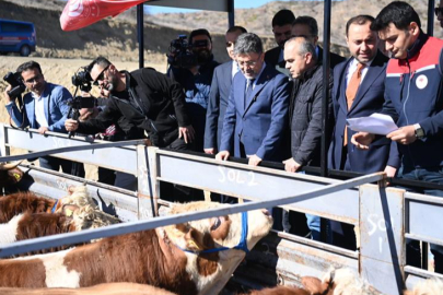 2028 İtibarıyla Kırmızı Et İthalatını Ülke Gündeminden Çıkaracağız