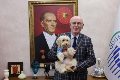 Başkan Kurt: "Sahiplenmek, Bir Canın Hayatına Dokunmaktır"