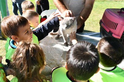 2009 Yılından Bugüne 14 Bine Yakın Sokak Hayvanını Sahiplendirildi