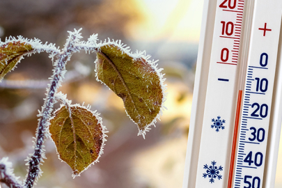 Meteorolojiden Zirai Don Uyarısı