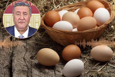 Gürer: "Yumurtada Fahiş Fiyat Artışı Neden?"