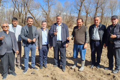 CHP'li Gürer: "Zirai Don, Lahana Üreticisini de Vurdu"