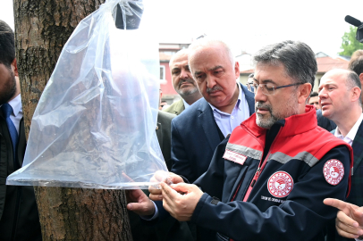 1 Milyon Samuray Arısını Doğaya Salmış Olacağız!