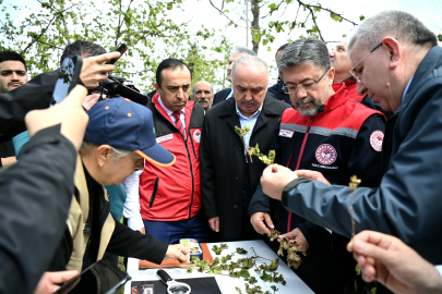 Bakan Yumaklı Giresun ve Ordu'da İncelemelerde Bulundu