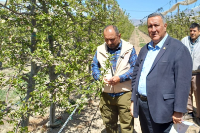 CHP'li Gürer: ''Beş İlde Elmada Büyük Kayıp''