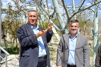 CHP'li Gürer: “Cevizden Şeftaliye, Bahçelerde Büyük Kayıp”