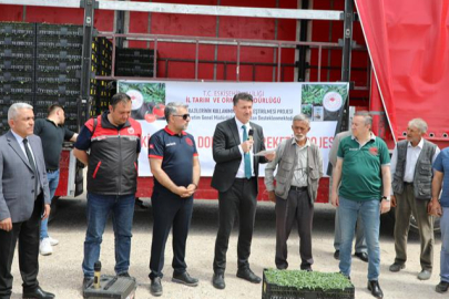 Eskişehir Çiftçisine 246 Bin Domates Fidesi