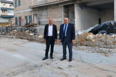 Niye Bu Ağaç Düşmanlığınız?
