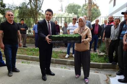 Sarıcakaya ve Mihalgazili Çiftçilere Domates Fidesi ve Zeytin Fidanı