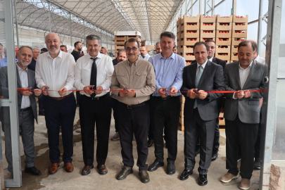 Eskişehir'in İlk Topraksız Tarım İşletmesi Açıldı