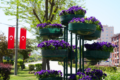 Refüjler Mevsimlik Çiçeklerle Süslendi.