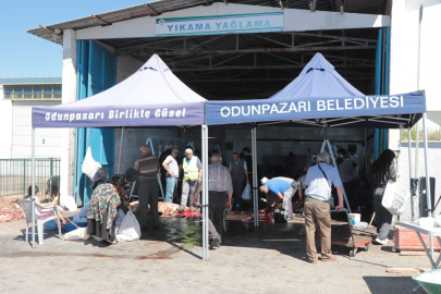 Odunpazarı'ndan Ücretsiz ve Hijyenik Kurban Kesim Hizmeti