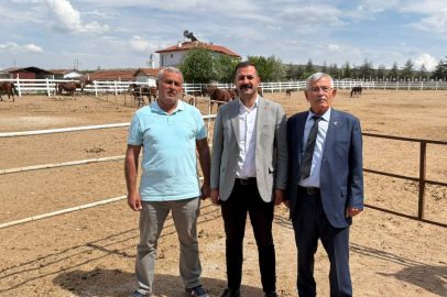 Mahmudiye Atçılık ve Binicilik Sektörünün Yıldızı Olmalıdır