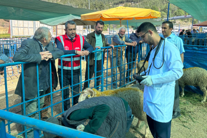 Bilecik Belediyesi Kurbanlık Hayvanları Kontrol Ediyor