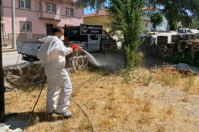 İnönü’de Park ve Bahçeler İlaçlanıyor