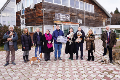 Yılın İlk 6 Ayında 289 Patili Dost Sıcak Yuvasına Kavuştu