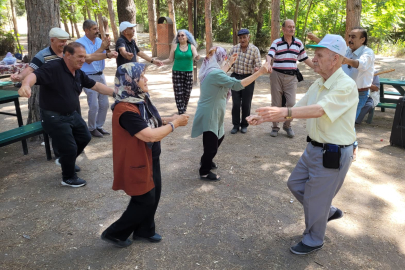 Koca Çınarlara Kaplıca ve Piknik Keyfi