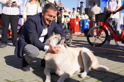 Başkan Ataç'tan Hayvanları Koruma Günü Mesajı