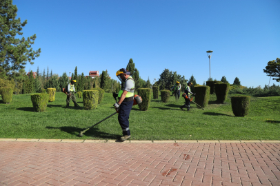 Parklarda Çalışmalar Devam Ediyor