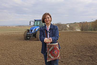 Ata Yadigarı Kavılca Buğdayı Yeniden Eskişehir Topraklarında