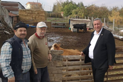 Hayvancılığı Sürdürecek Halimiz Kalmadı