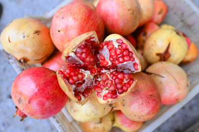 Üreticilere Nar Taneleme ve Sıkma Makinesi Desteği