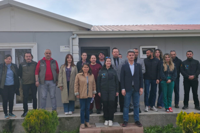 Odunpazarı'ndan Sahipsiz Hayvanların Güvenli Toplanması İçin Eğitim