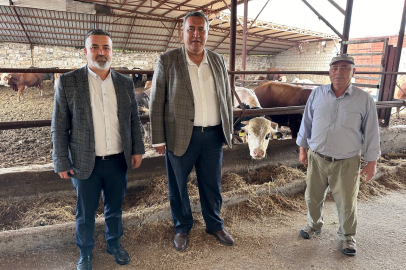 Hayvan Varlığı Azalıyor, Kişi Başı Et Tüketimi Düşüyor