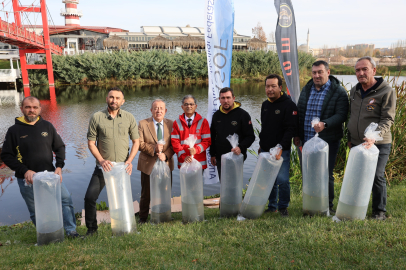 Porsuk Çayı'nda Doğal Yaşam Güçleniyor