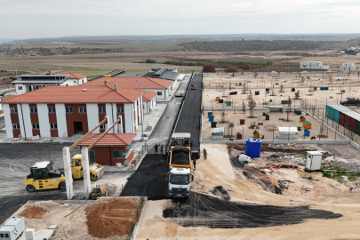 Hayvan Barınağı’nda Sona Yaklaşılıyor