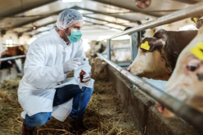 712 Milyon Liralık Tarımsal Destekleme Ödemesi Yapıldı